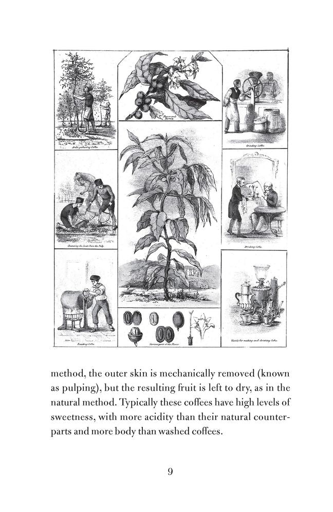 The Philosophy of Coffee