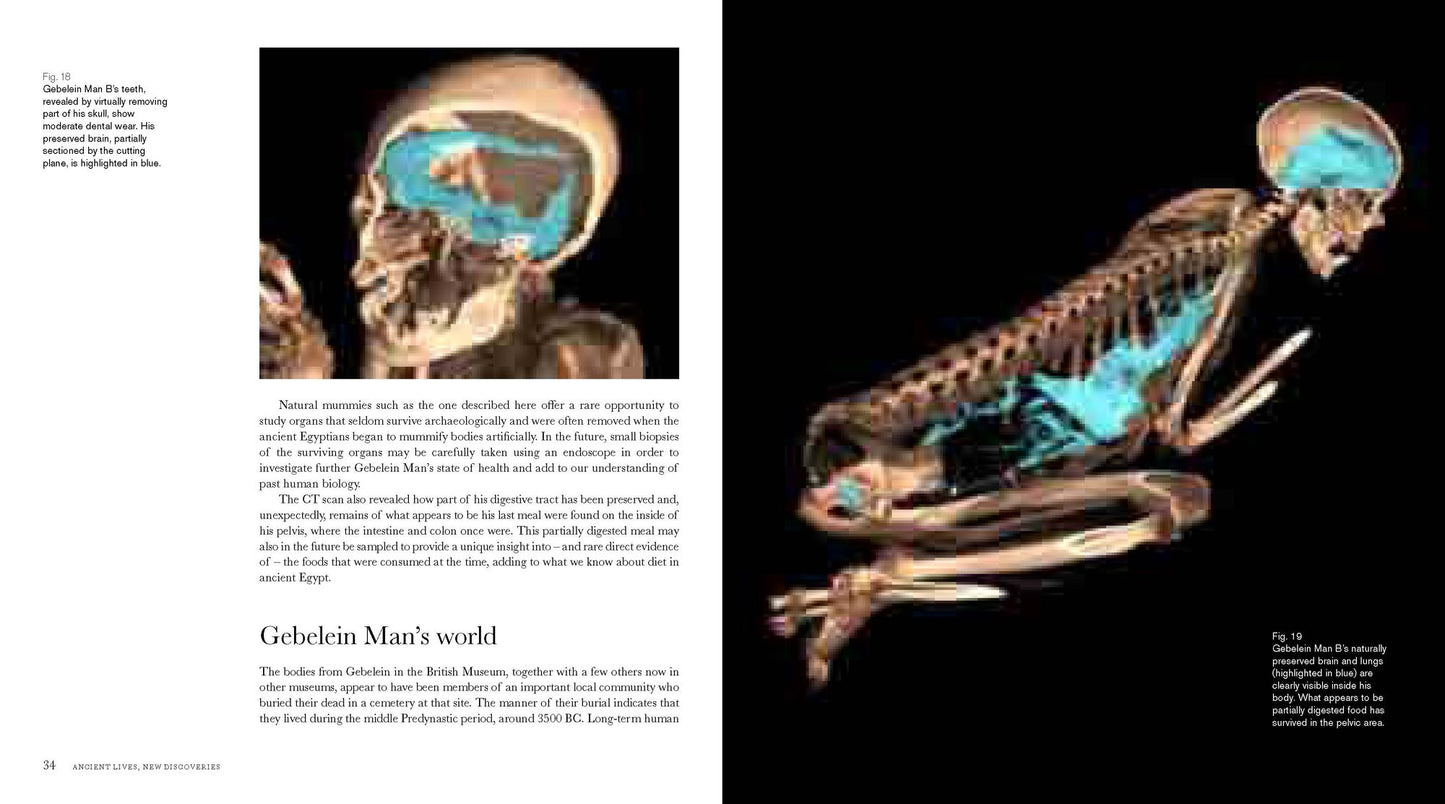 Ancient Lives New Discoveries: Eight Mummies, Eight Stories