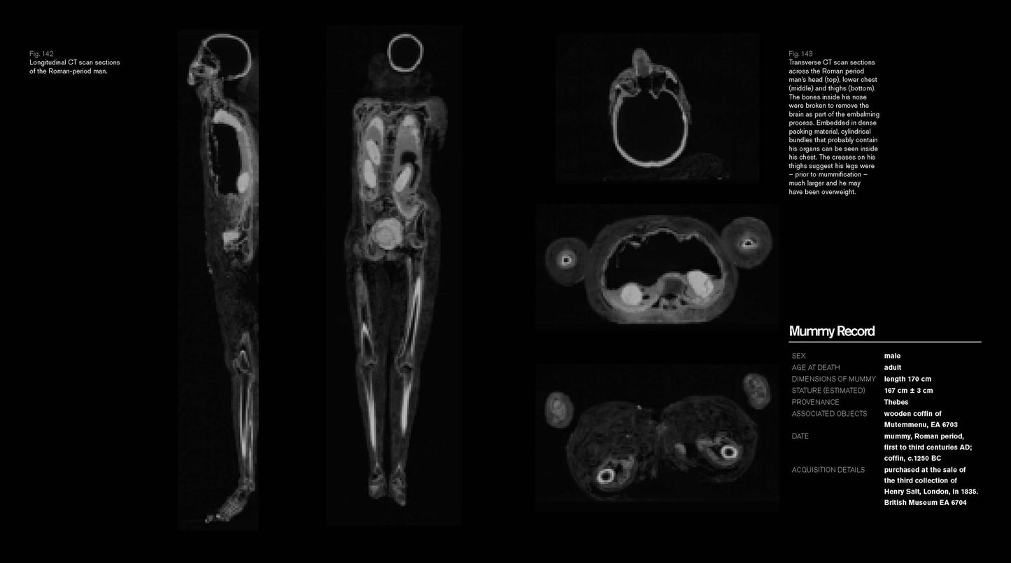 Ancient Lives New Discoveries: Eight Mummies, Eight Stories
