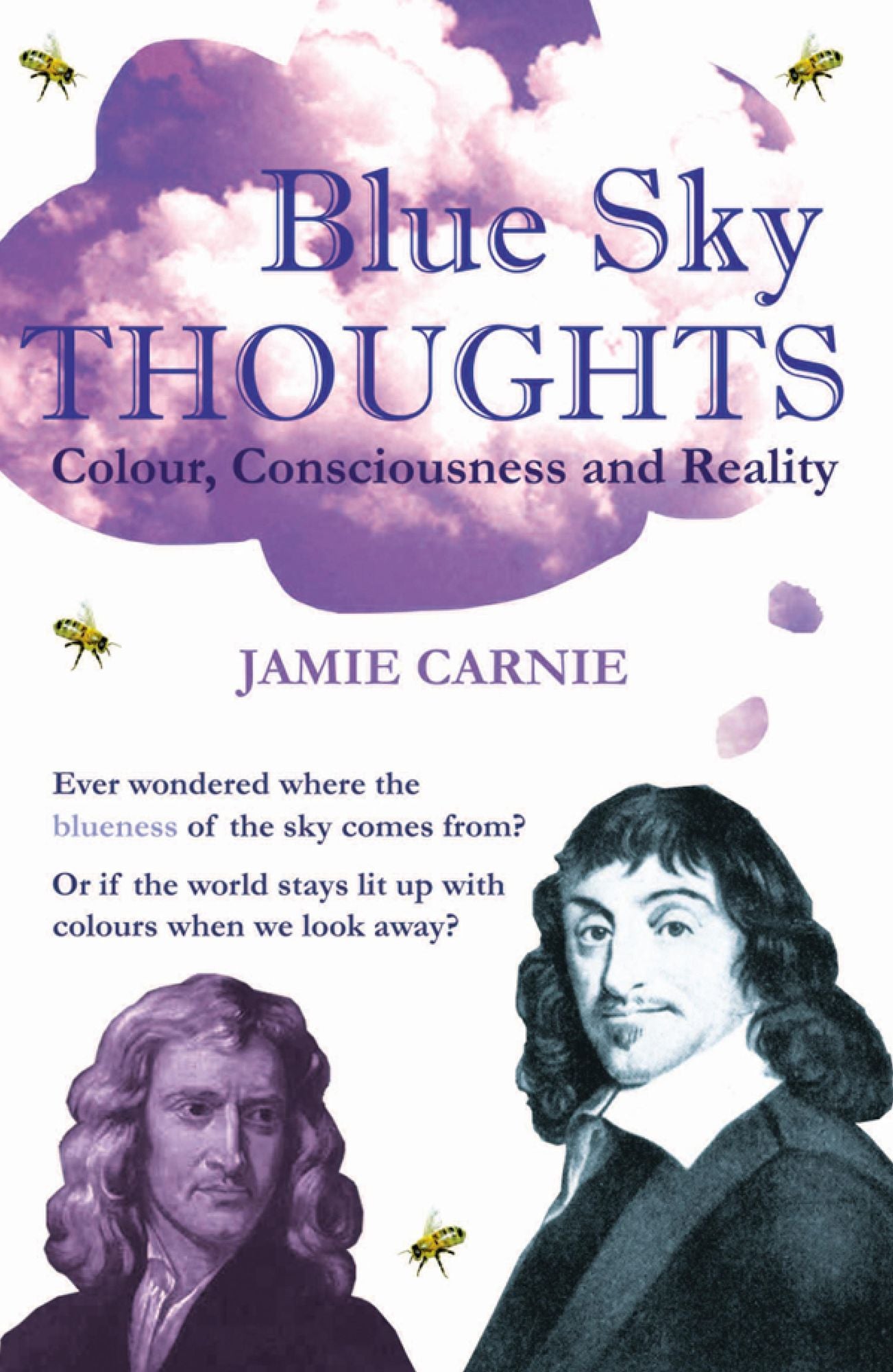 Blue Sky Thoughts: Colour, Consciousness and Reality