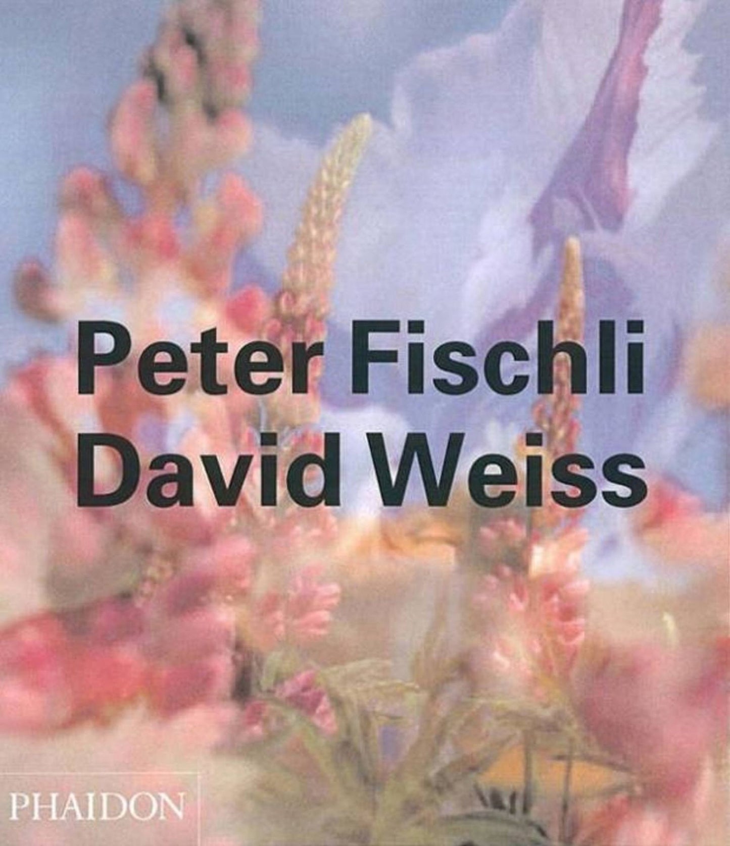 Peter Fischli & David Weiss