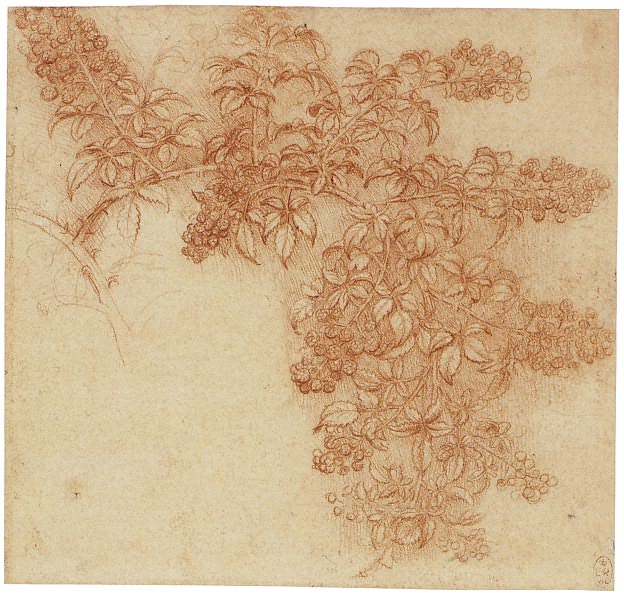 Leonardo