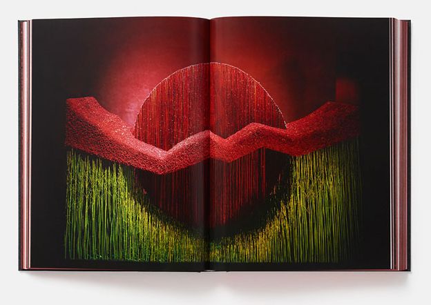Daniel Ost: Floral Art and the Beauty of Impermanence