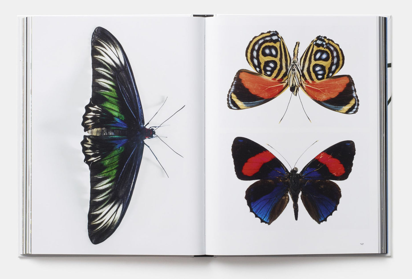 Evolution: A Visual Record