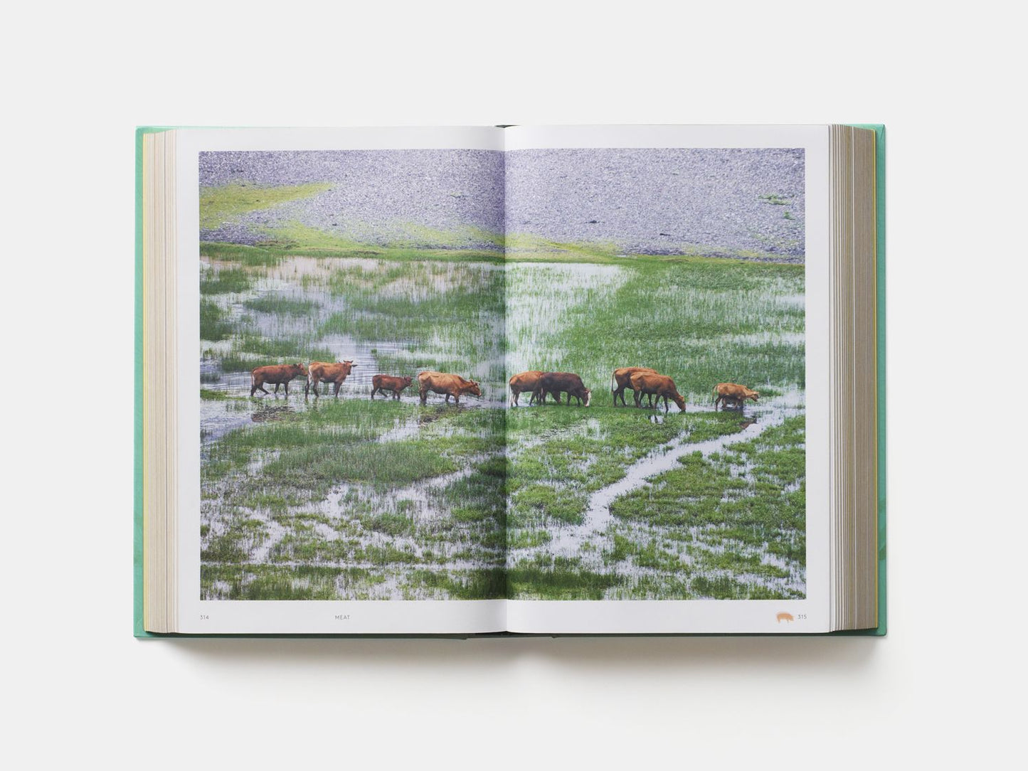 China: The Cookbook