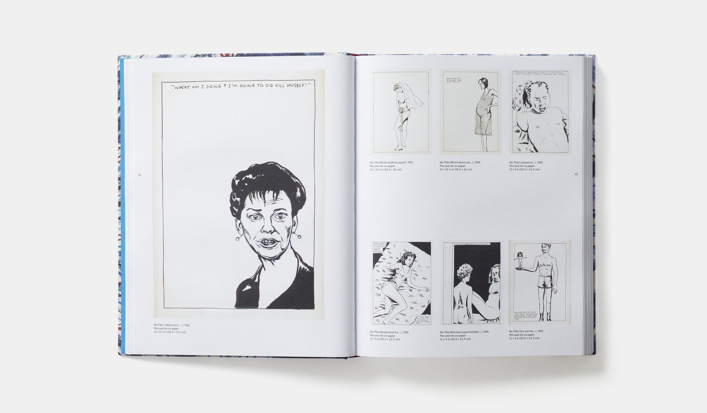 Raymond Pettibon: A Pen of All Work