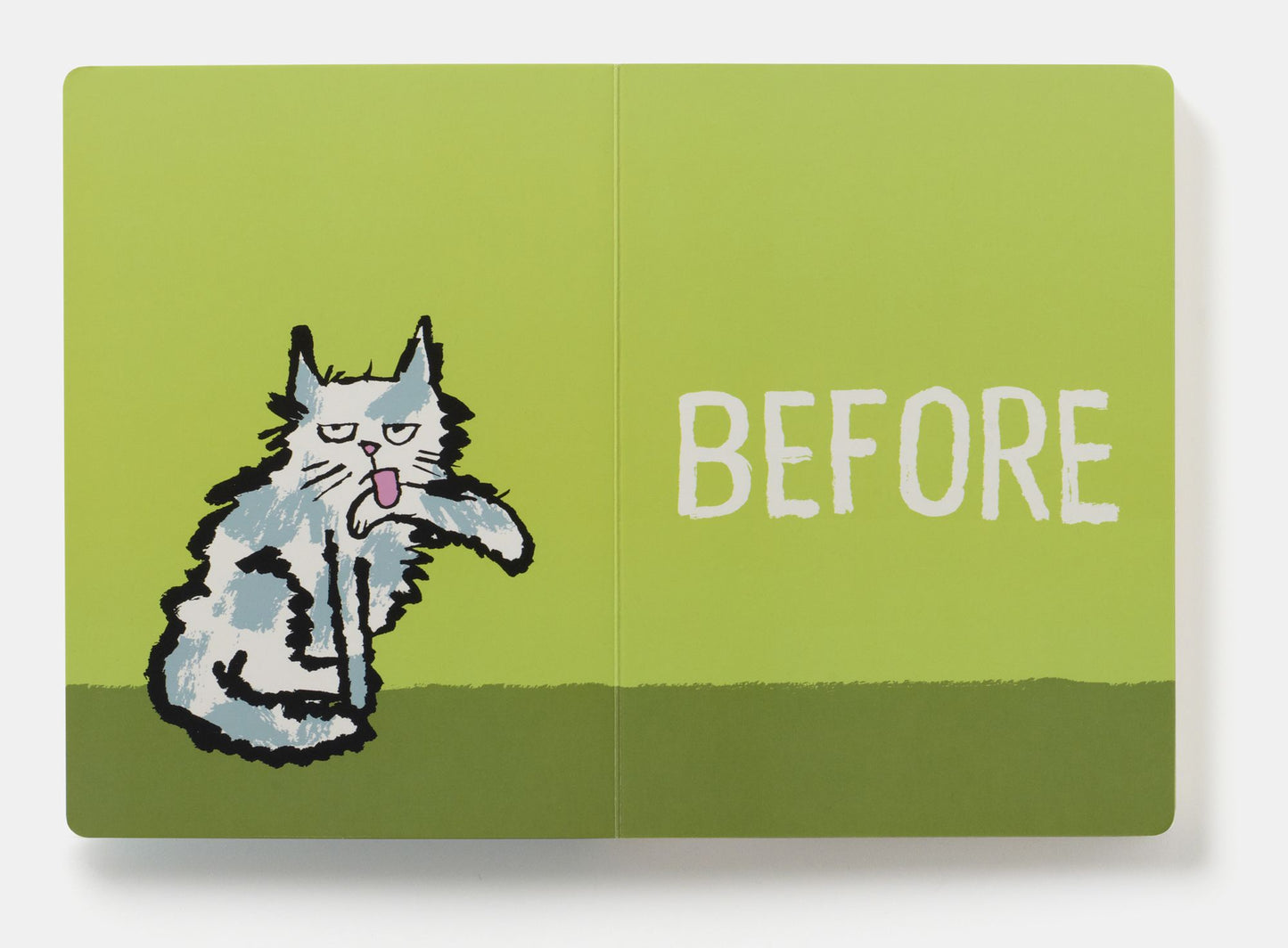 Before & After