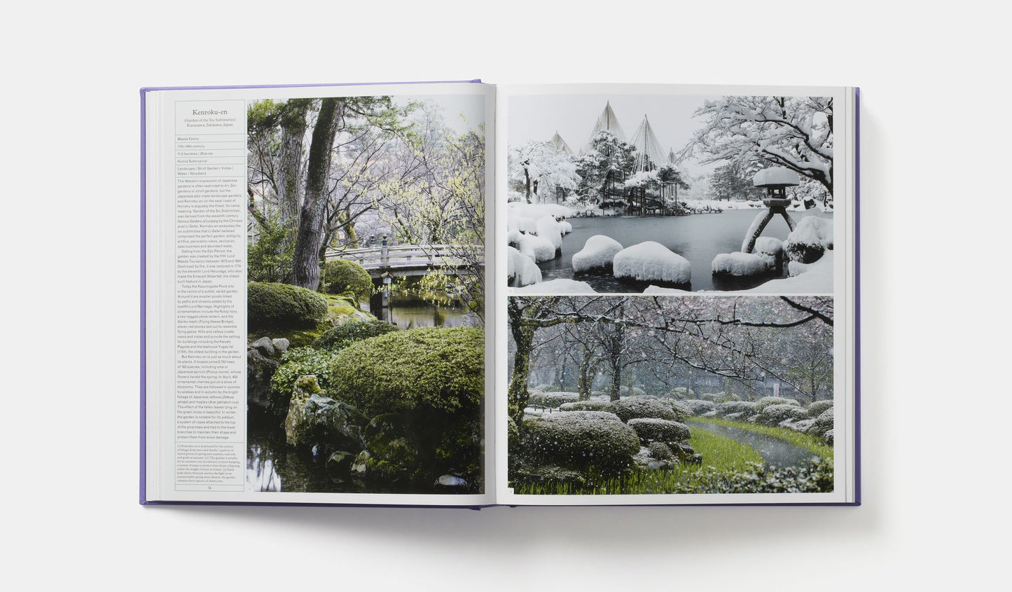 The Gardener's Garden: Midi Format