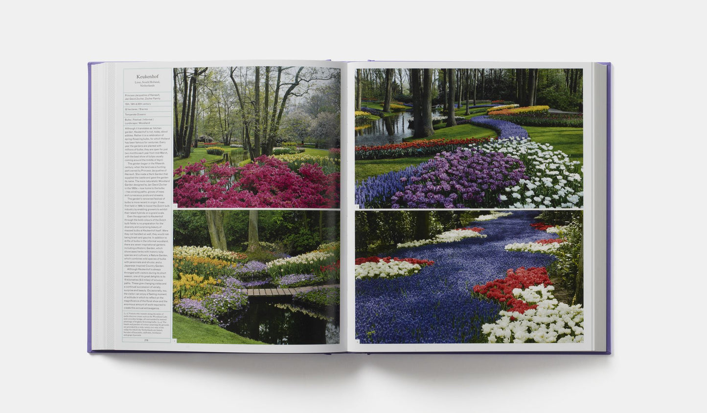 The Gardener's Garden: Midi Format