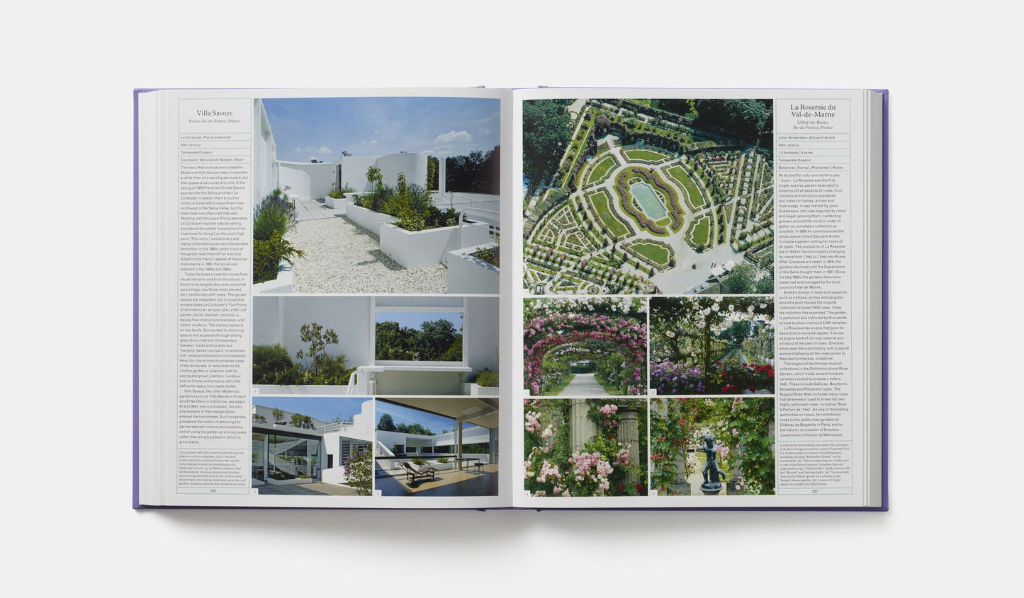 The Gardener's Garden: Midi Format