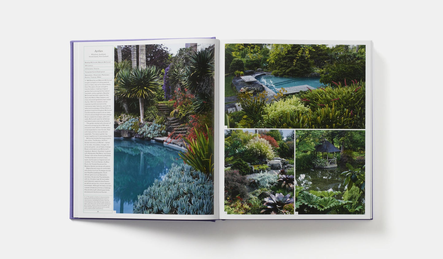 The Gardener's Garden: Midi Format
