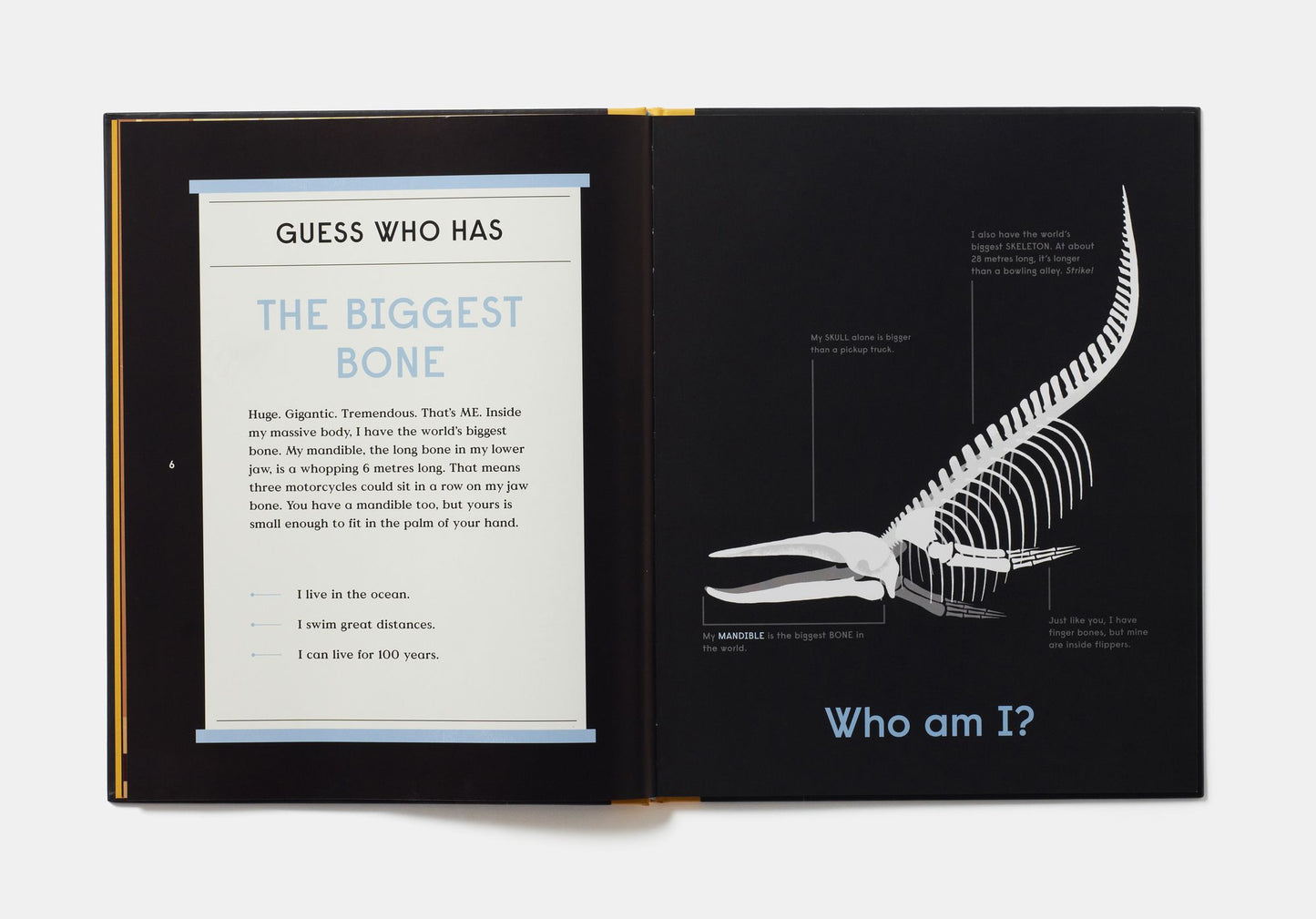 Book of Bones: 10 Record-Breaking Animals