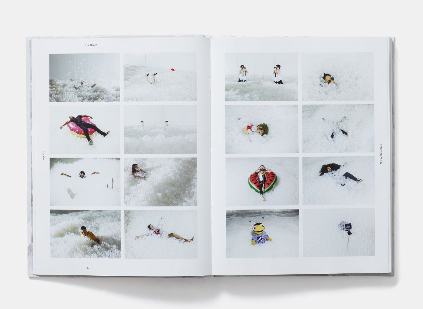Snarkitecture