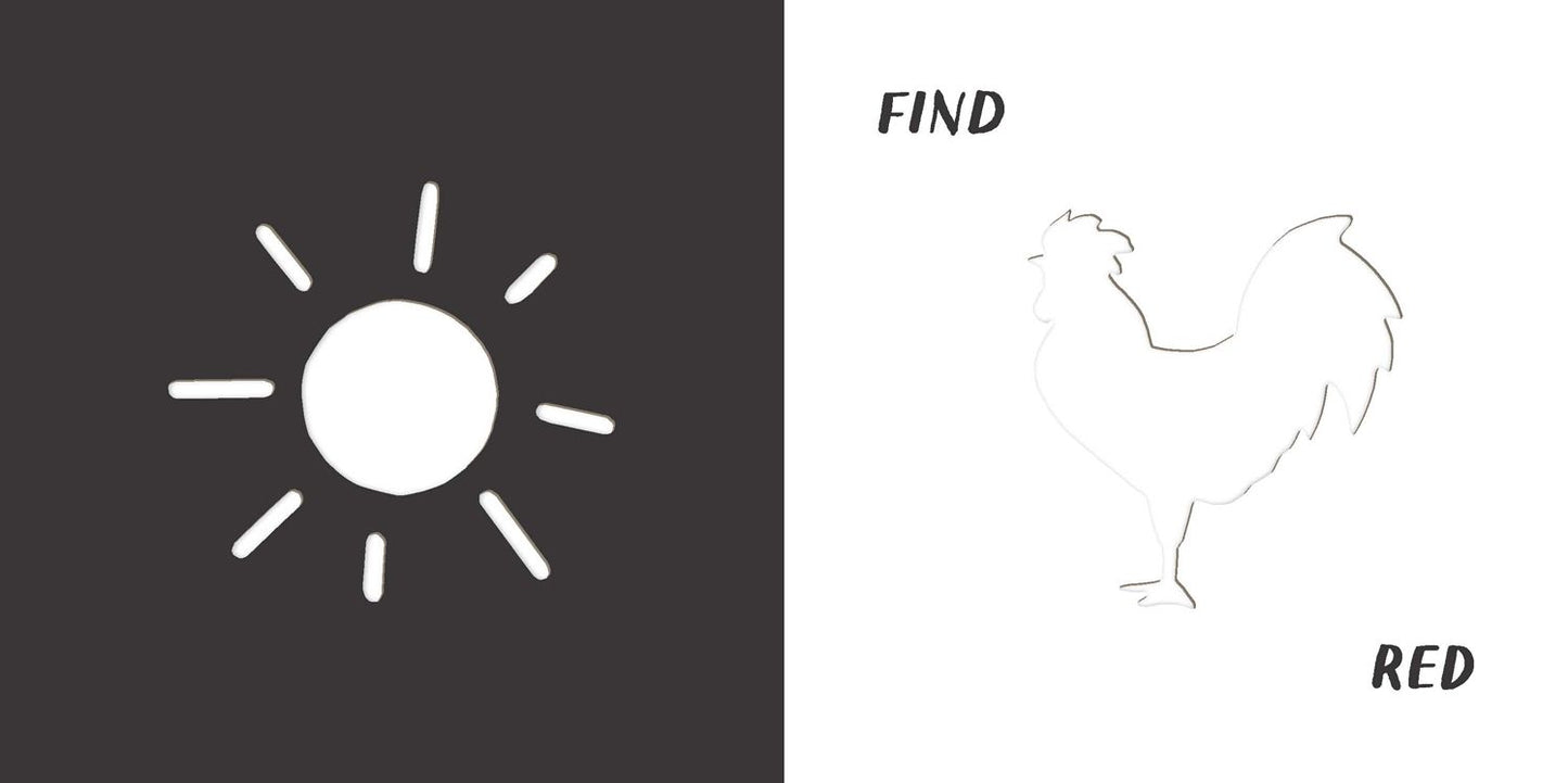 Find Colors: Published in association with the Whitney Museum of American Art