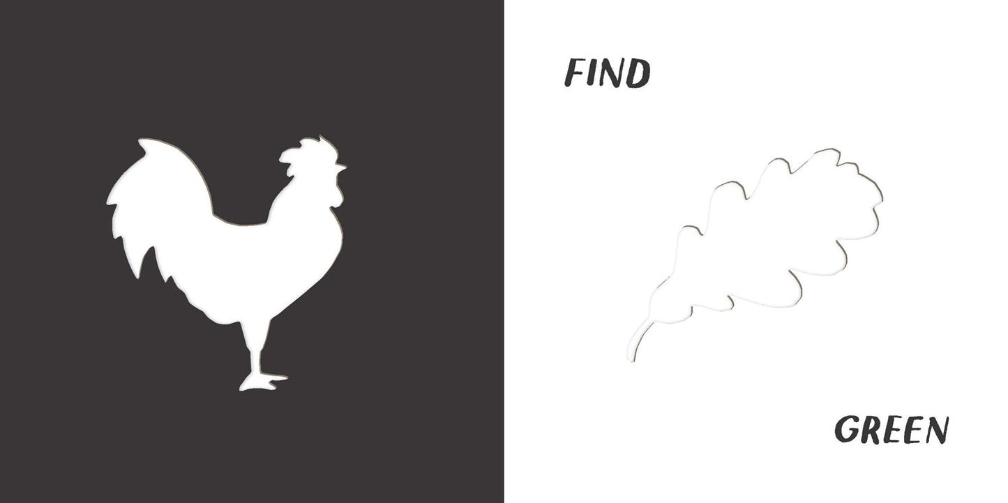 Find Colors: Published in association with the Whitney Museum of American Art