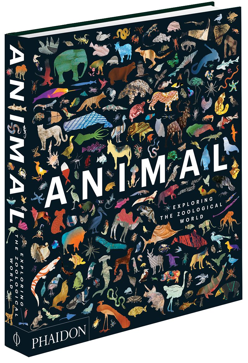 Animal: Exploring the Zoological World
