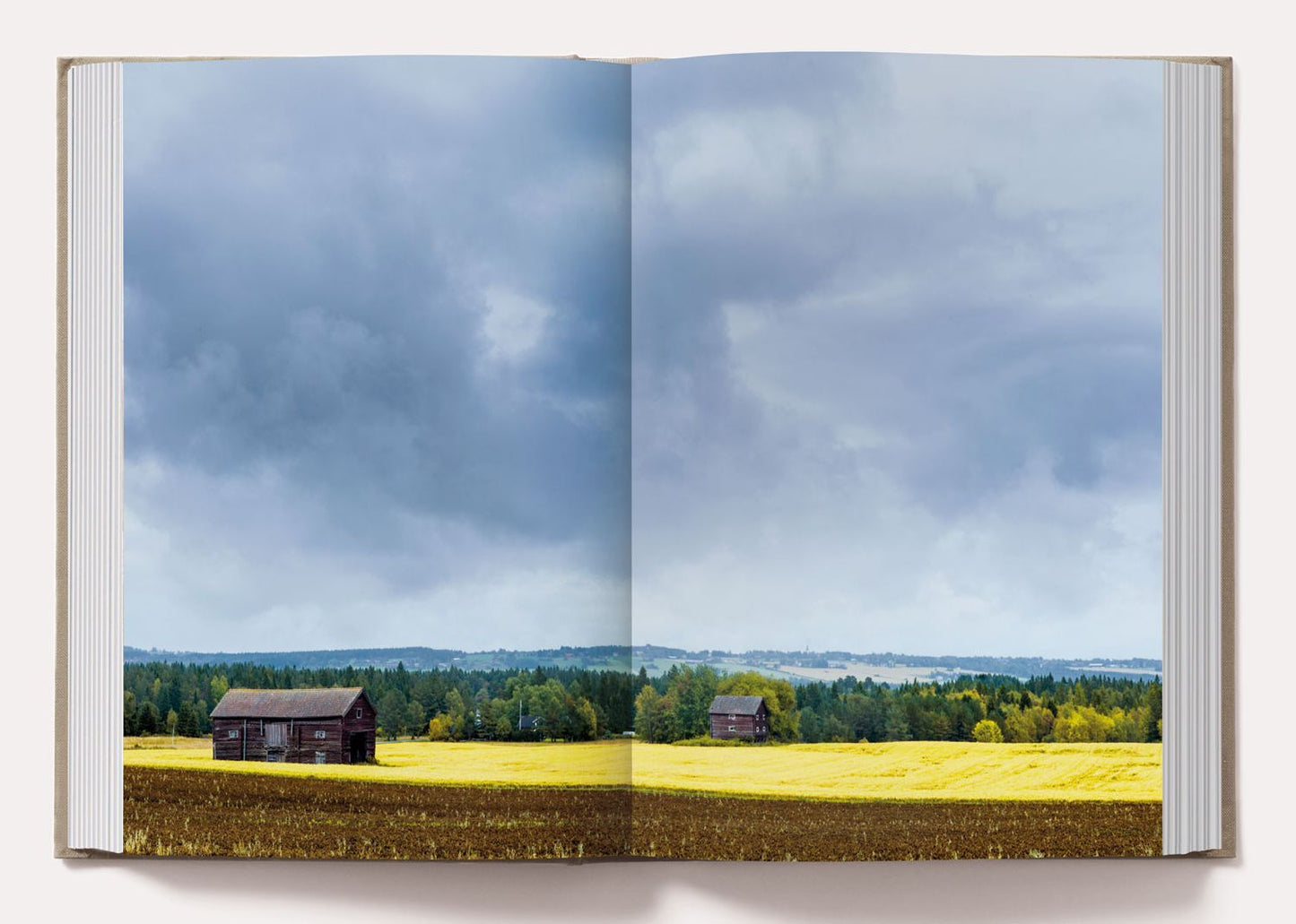 The Nordic Baking Book