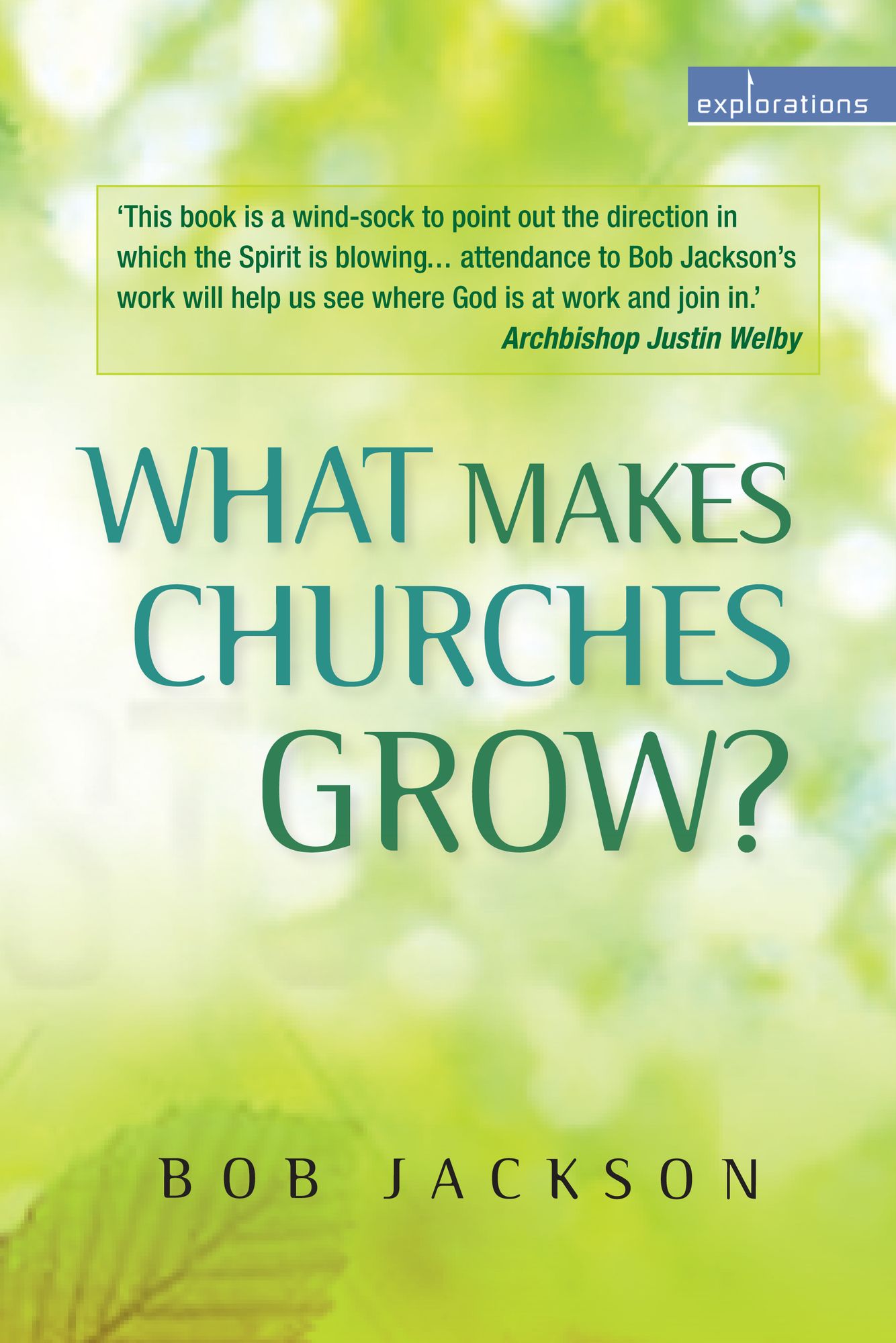 What is Making Churches Grow?: Vision and practice in effective mission