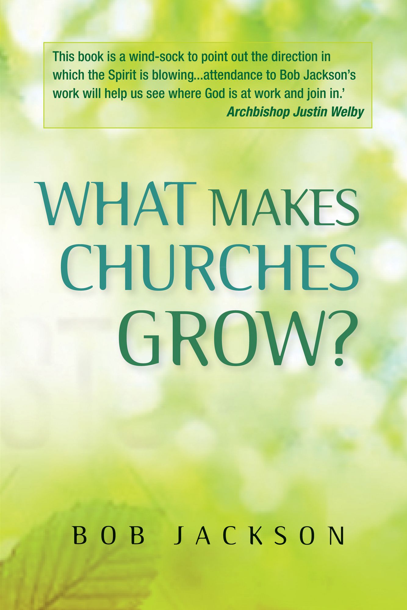 What Makes Churches Grow?: Vision and practice in effective mission