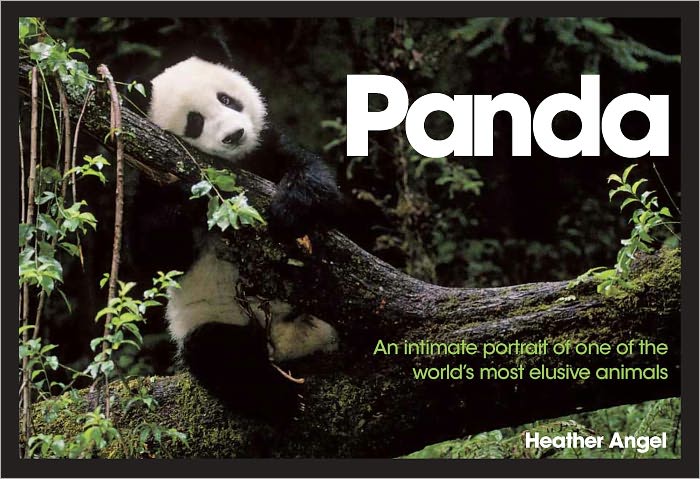 Panda: An Intimate Portrait Of One Of The World's Most Elusive Characters (PagePerfect NOOK Book)