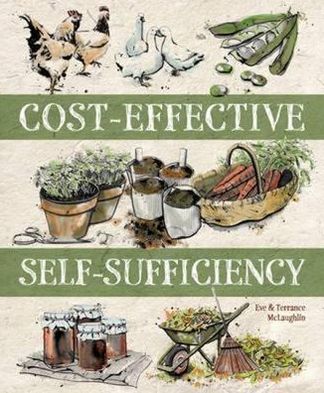 Cost-Effective Self-Sufficiency