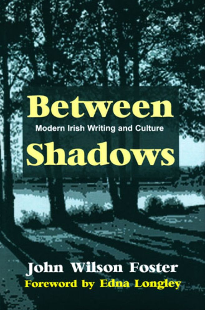 Between Shadows: Modern Irish Writing and Culture