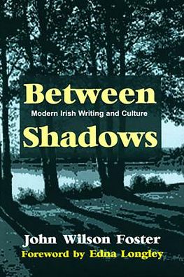 Between Shadows: Modern Irish Writing and Culture