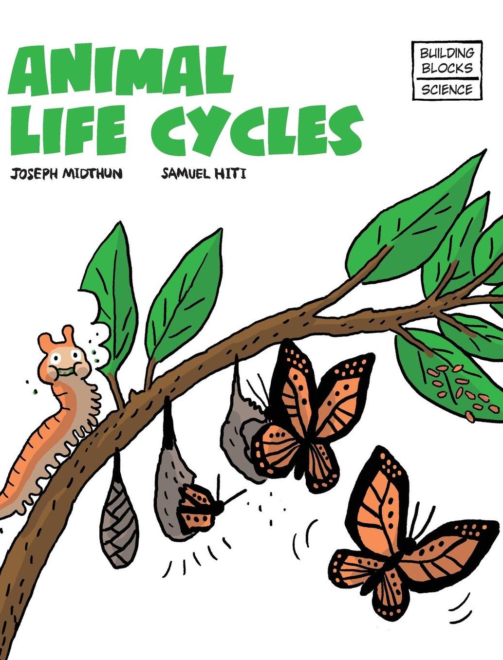Animal Life Cycles