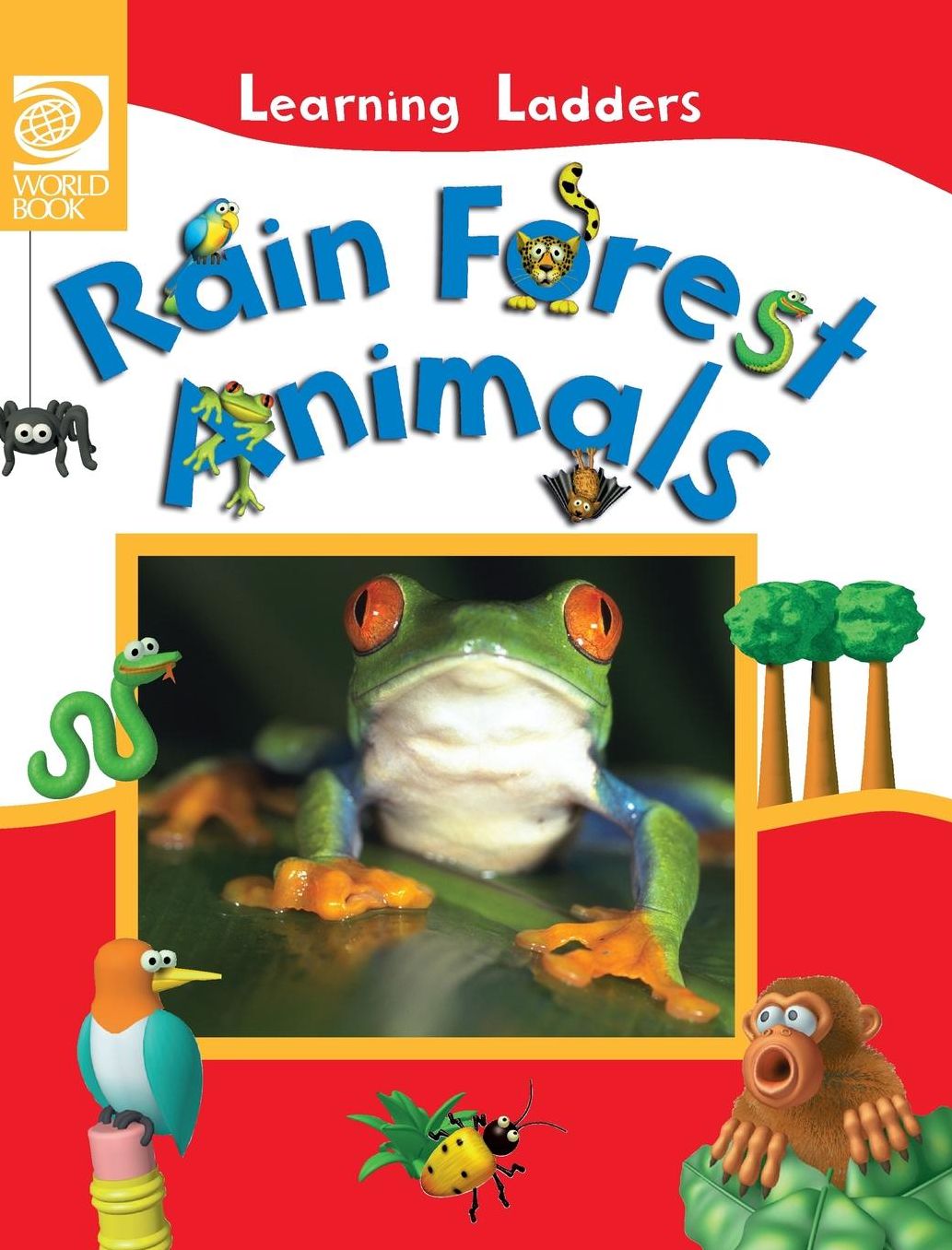 Rain Forest Animals