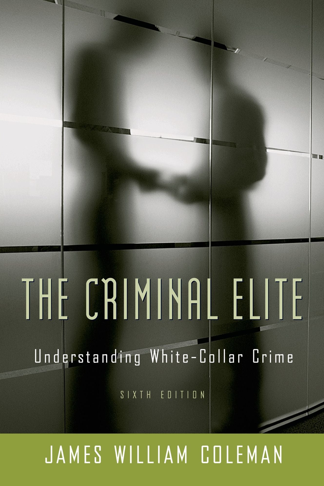 Criminal Elite: The Sociology of White Collar Crime