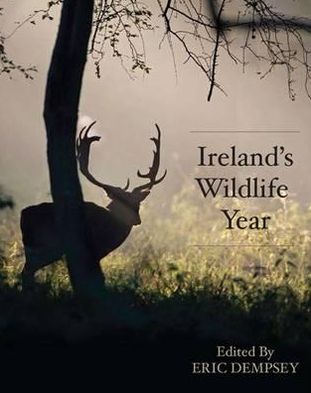 Ireland's Wildlife Year