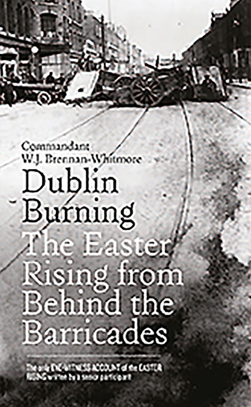 Dublin Burning: The Easter Rising From Behind the Barricades
