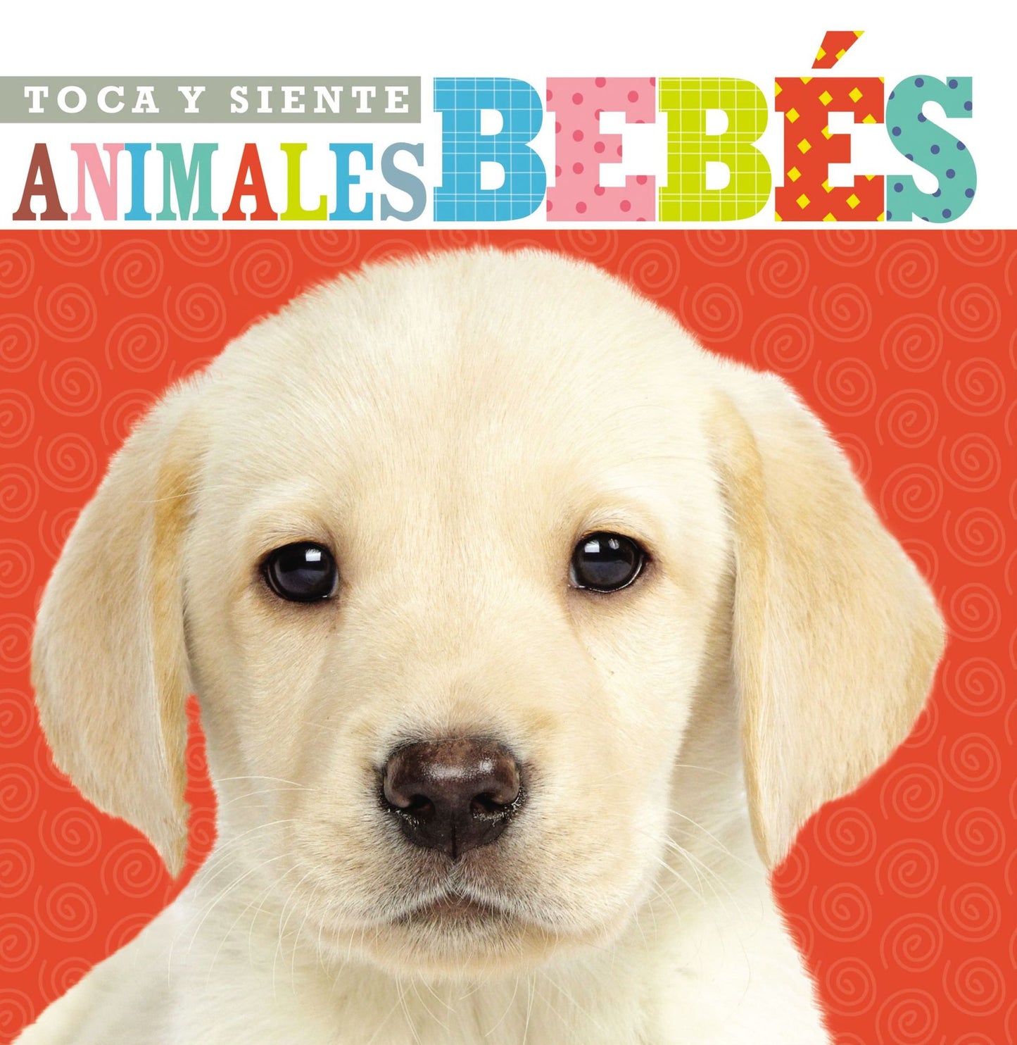 Toca Y Siente Animales Bebï¿½s