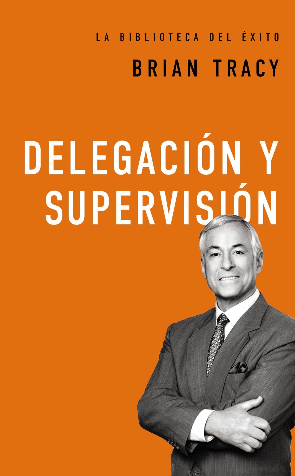 Delegaciï¿½n Y Supervisiï¿½n