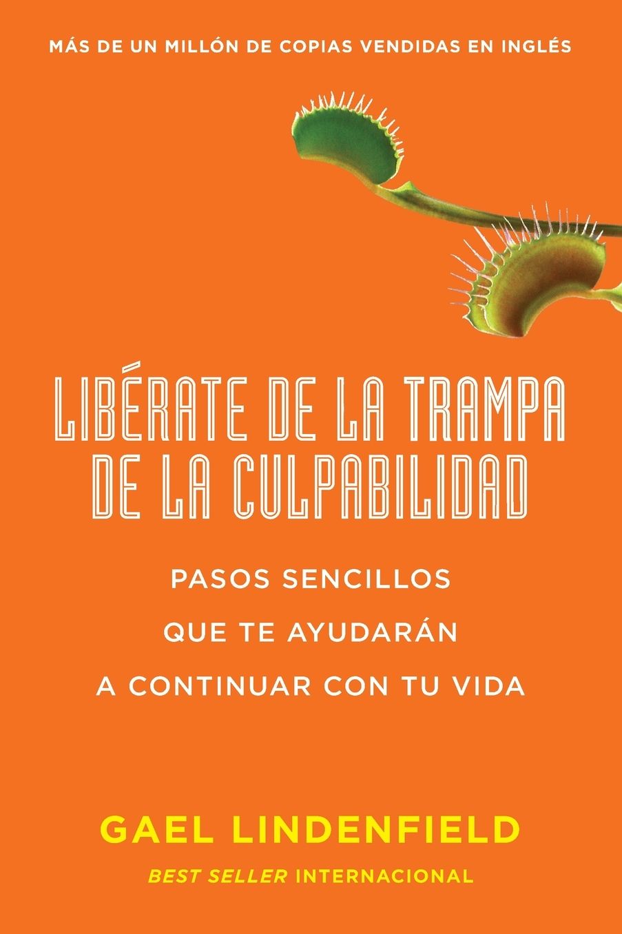 Liberate de la trampa de la culpabilidad: Pasos sencillos que te ayudaran a continuar con tu vida