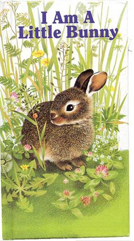 I Am a Little Bunny