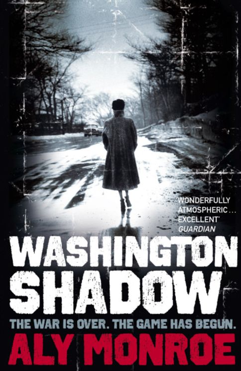 Washington Shadow (Peter Cotton Series #2)