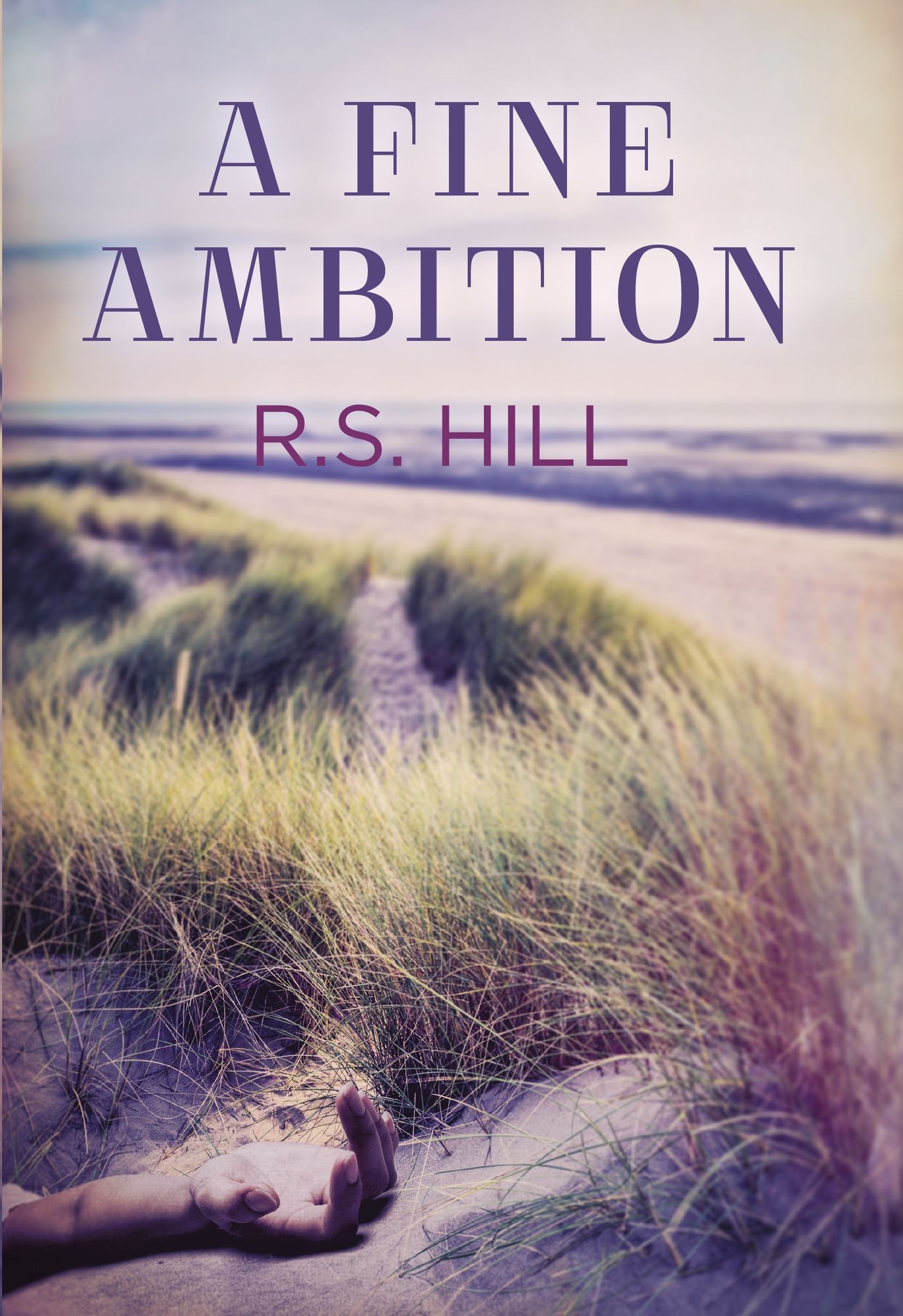 A Fine Ambition