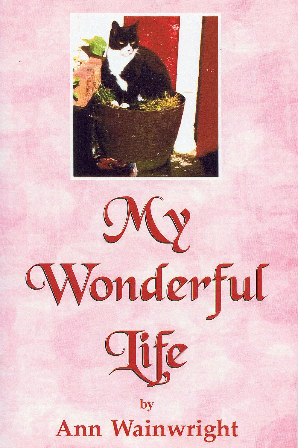 My Wonderful Life