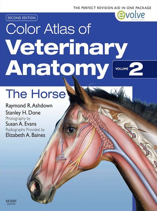 Color Atlas of Veterinary Anatomy, Volume 2, The Horse - E-BOOK