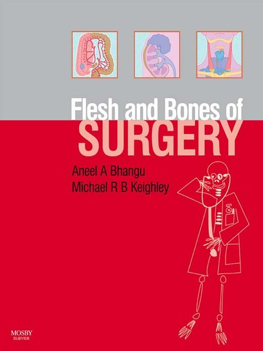 The Flesh and Bones of Surgery E-Book