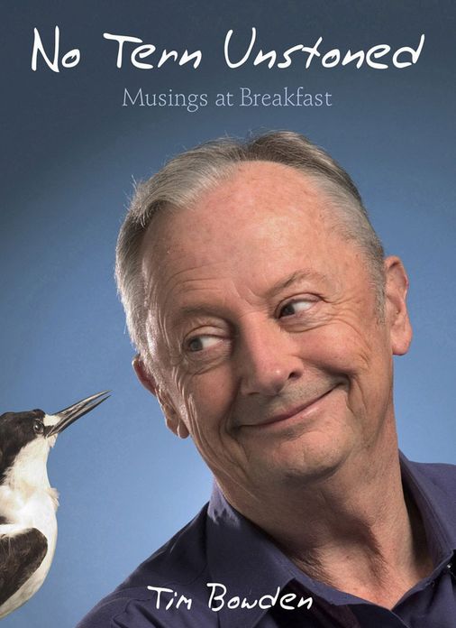 No Tern Unstoned: Musings at Breakfast