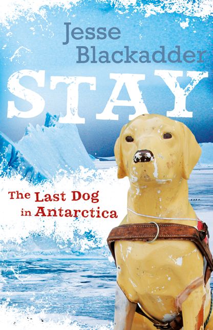 Stay : The Last Dog in Antarctica