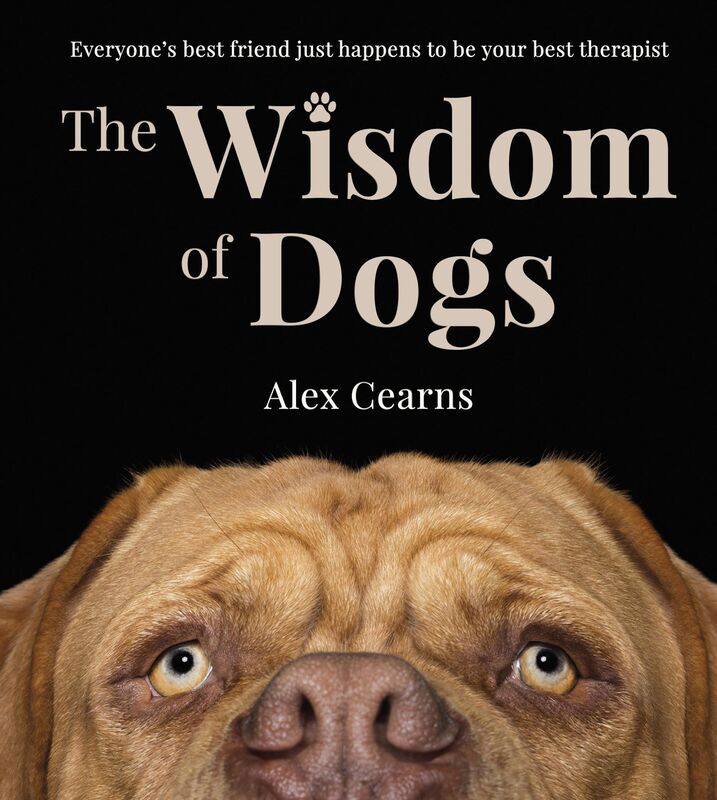 The Wisdom Of Dogs: The adorable and funny new book from the photographer behind the bestselling QUOKKA'S GUIDE TO HAPPINESS and ZEN