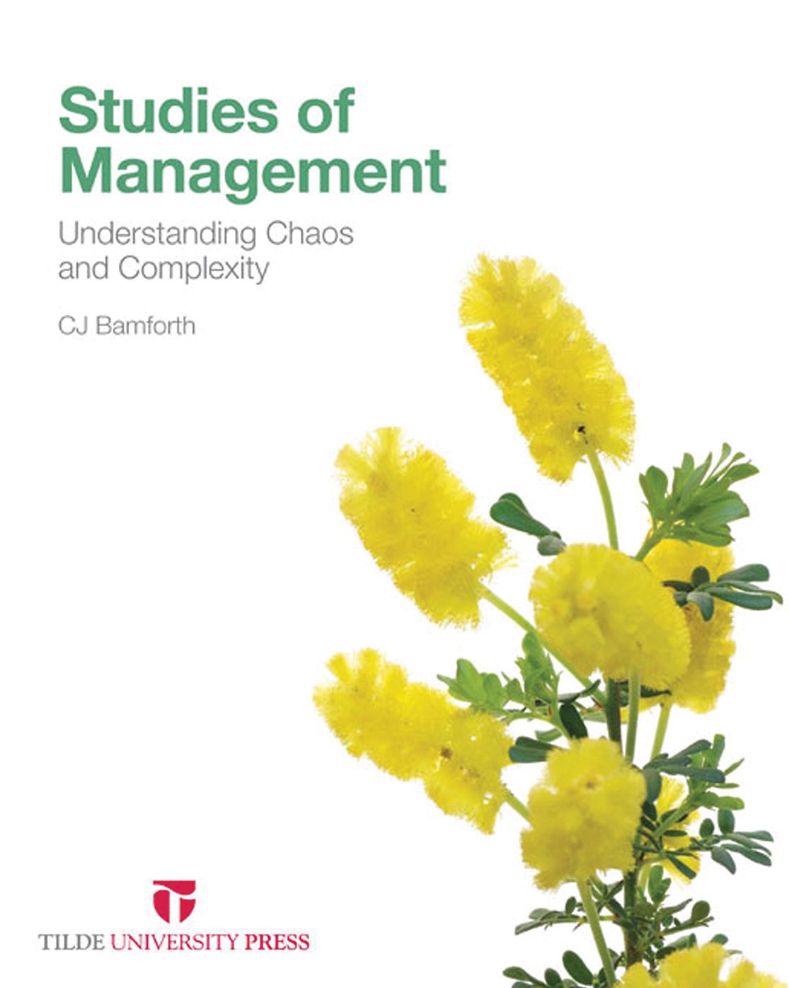 Studies of Management: Understanding Chaos and Complexity