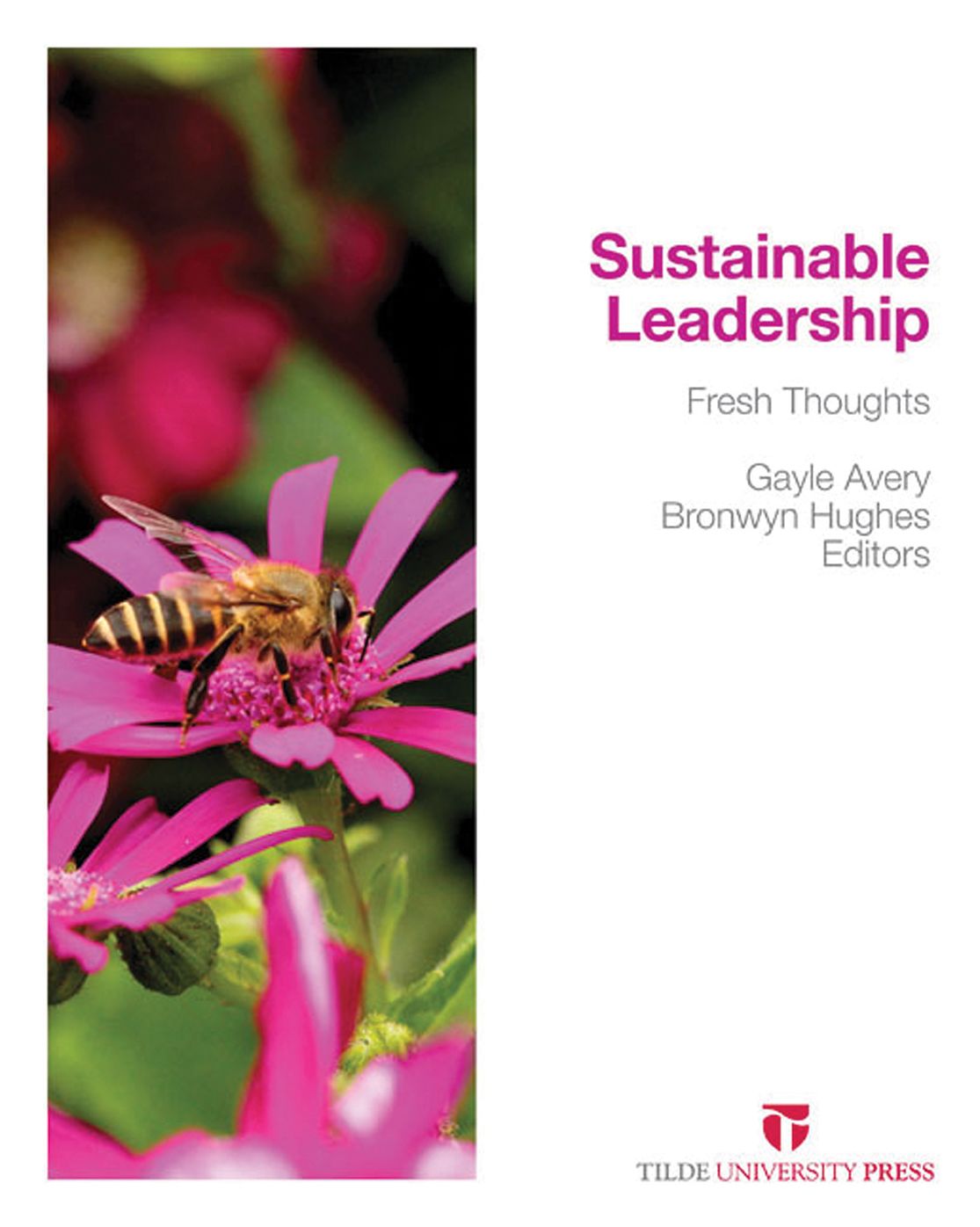 Sustainable Leadership: Fresh Thoughts