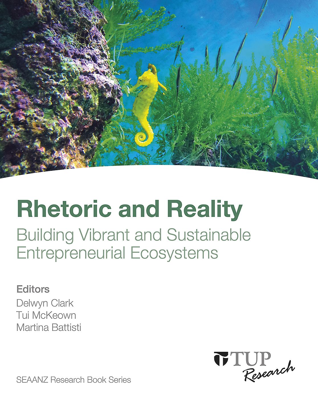 Rhetoric and Reality: Building Vibrant and Sustainable Entreprenurial Ecosystems