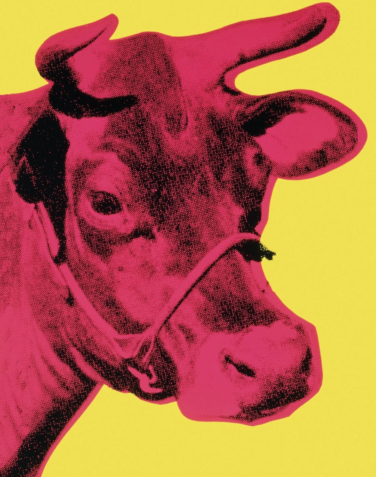 STA Andy Warhol hits bx/16