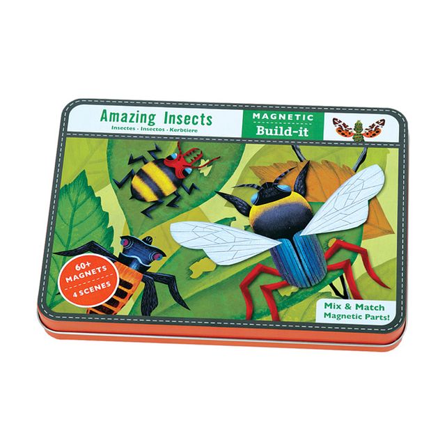 Amazing Insects Magnetic Build-it