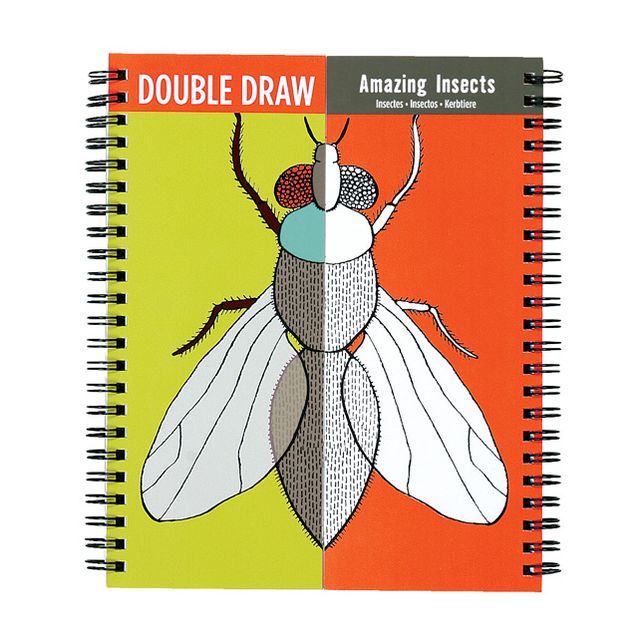 Amazing Insects Double Draw